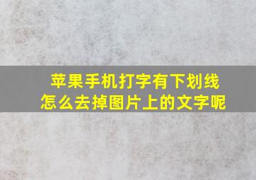 苹果手机打字有下划线怎么去掉图片上的文字呢