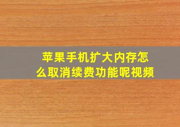 苹果手机扩大内存怎么取消续费功能呢视频