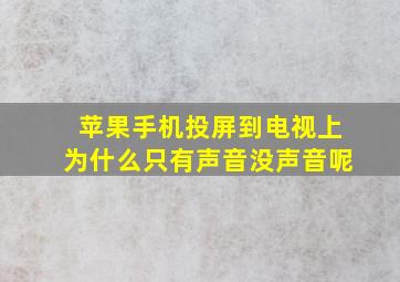 苹果手机投屏到电视上为什么只有声音没声音呢