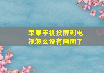 苹果手机投屏到电视怎么没有画面了