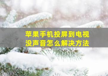 苹果手机投屏到电视没声音怎么解决方法