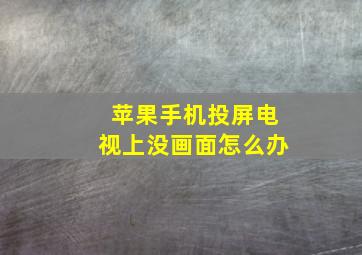 苹果手机投屏电视上没画面怎么办