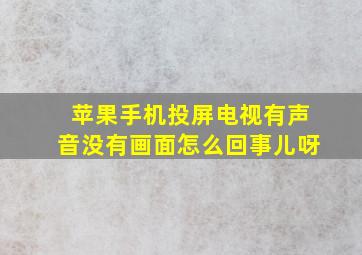 苹果手机投屏电视有声音没有画面怎么回事儿呀