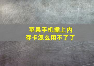 苹果手机插上内存卡怎么用不了了