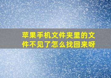 苹果手机文件夹里的文件不见了怎么找回来呀