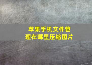 苹果手机文件管理在哪里压缩图片