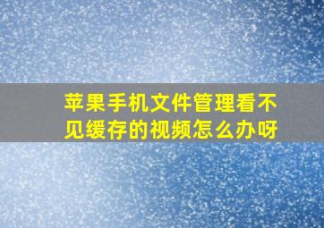 苹果手机文件管理看不见缓存的视频怎么办呀