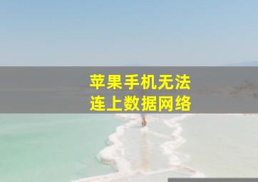 苹果手机无法连上数据网络