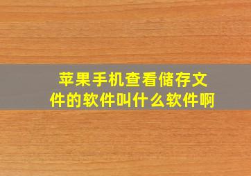 苹果手机查看储存文件的软件叫什么软件啊