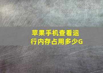 苹果手机查看运行内存占用多少G