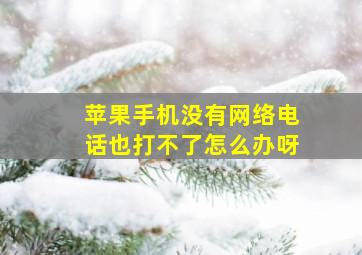 苹果手机没有网络电话也打不了怎么办呀