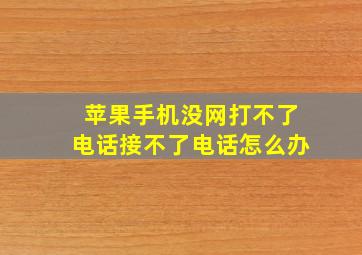 苹果手机没网打不了电话接不了电话怎么办