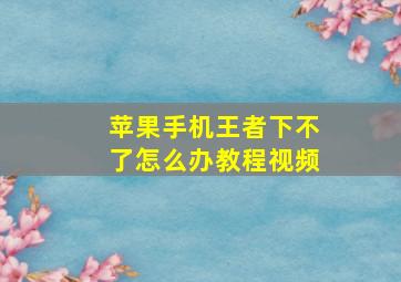 苹果手机王者下不了怎么办教程视频