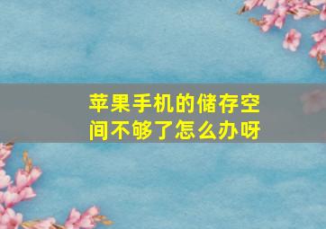 苹果手机的储存空间不够了怎么办呀