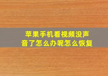 苹果手机看视频没声音了怎么办呢怎么恢复