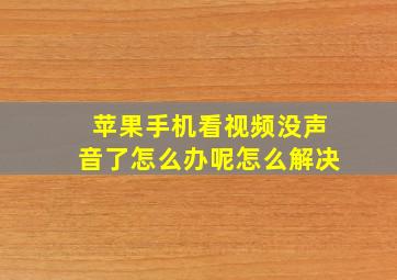 苹果手机看视频没声音了怎么办呢怎么解决