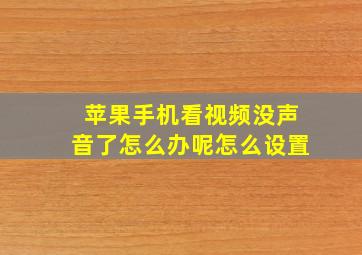 苹果手机看视频没声音了怎么办呢怎么设置