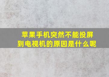 苹果手机突然不能投屏到电视机的原因是什么呢