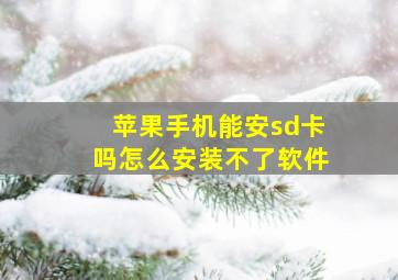 苹果手机能安sd卡吗怎么安装不了软件