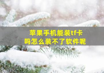 苹果手机能装tf卡吗怎么装不了软件呢