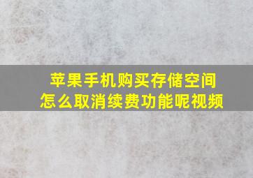 苹果手机购买存储空间怎么取消续费功能呢视频