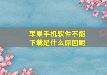 苹果手机软件不能下载是什么原因呢