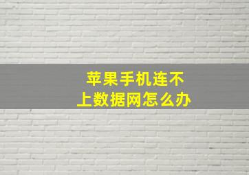 苹果手机连不上数据网怎么办