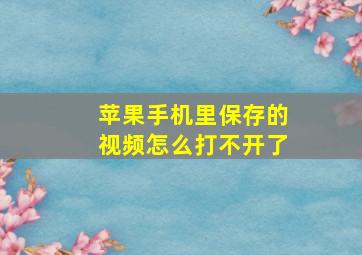 苹果手机里保存的视频怎么打不开了