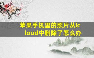 苹果手机里的照片从icloud中删除了怎么办