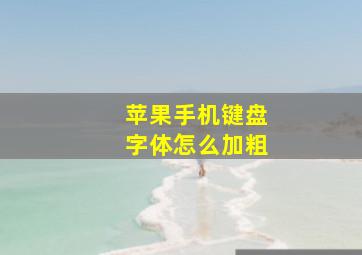 苹果手机键盘字体怎么加粗