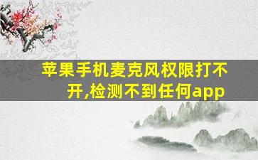 苹果手机麦克风权限打不开,检测不到任何app