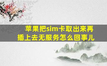 苹果把sim卡取出来再插上去无服务怎么回事儿