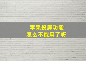 苹果投屏功能怎么不能用了呀