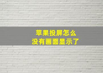 苹果投屏怎么没有画面显示了