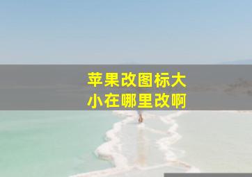 苹果改图标大小在哪里改啊