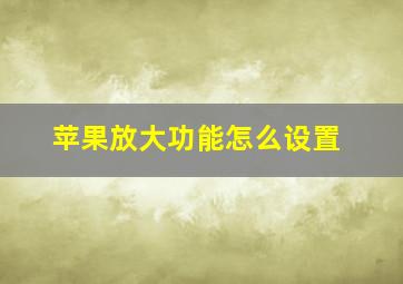 苹果放大功能怎么设置