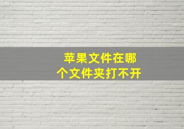 苹果文件在哪个文件夹打不开