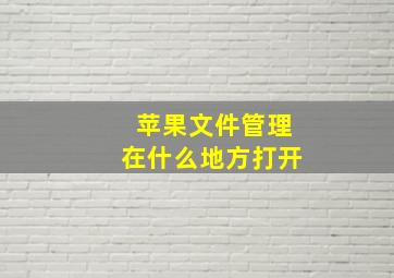 苹果文件管理在什么地方打开