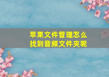 苹果文件管理怎么找到音频文件夹呢