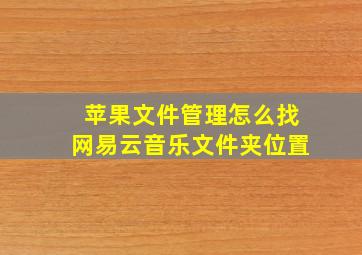 苹果文件管理怎么找网易云音乐文件夹位置