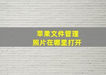 苹果文件管理照片在哪里打开