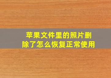 苹果文件里的照片删除了怎么恢复正常使用