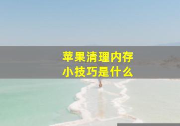 苹果清理内存小技巧是什么