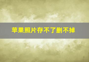 苹果照片存不了删不掉