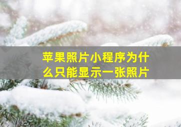 苹果照片小程序为什么只能显示一张照片