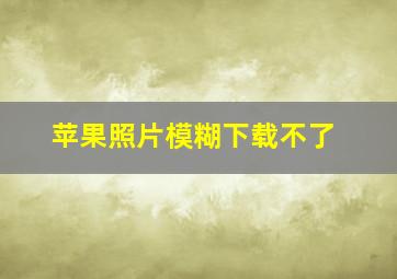 苹果照片模糊下载不了