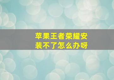 苹果王者荣耀安装不了怎么办呀