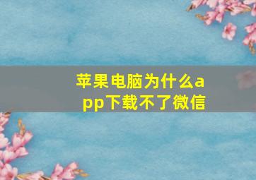 苹果电脑为什么app下载不了微信