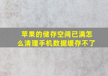 苹果的储存空间已满怎么清理手机数据缓存不了