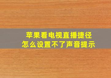 苹果看电视直播捷径怎么设置不了声音提示